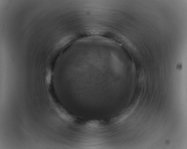 X0000101710076200807241505