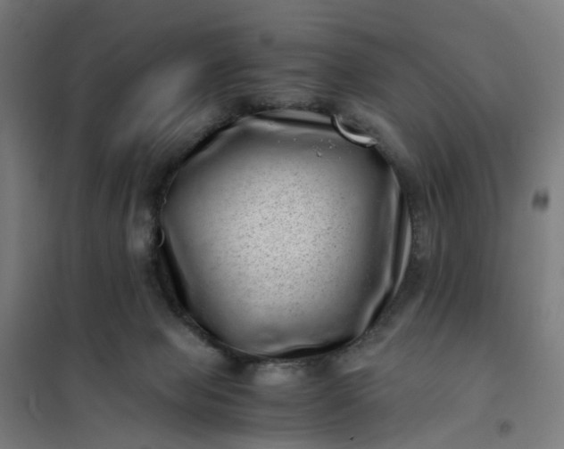 X0000101710077200807241505