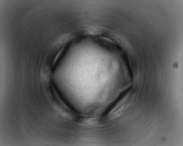 X0000101710078200807241505