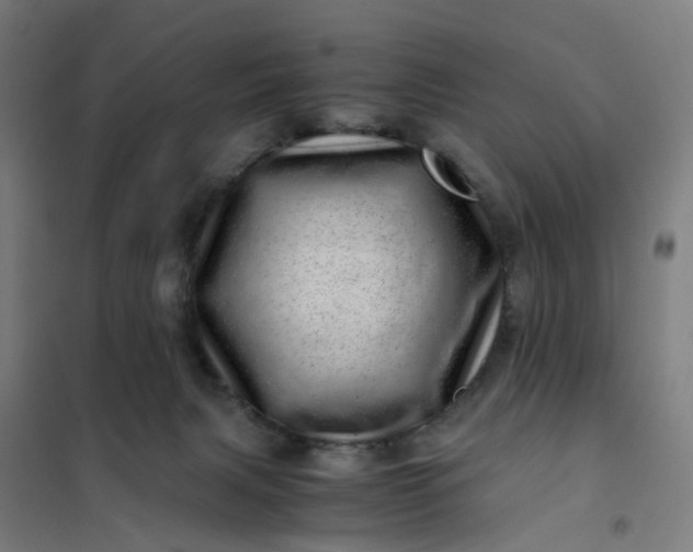 X0000101710079200807241505