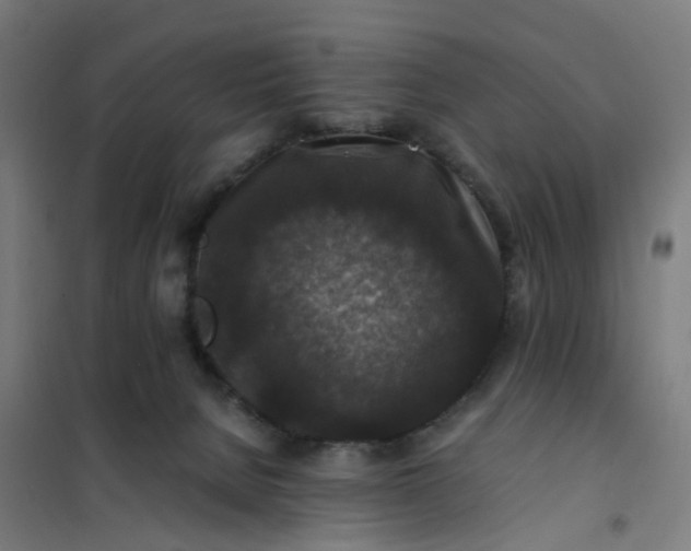 X0000101710080200807241505