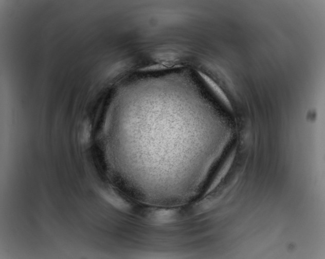 X0000101710081200807241505