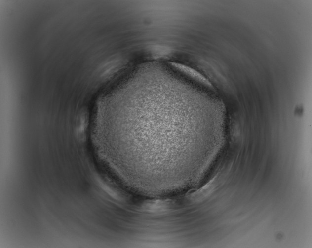 X0000101710082200807241505