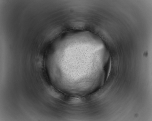 X0000101710083200807241505