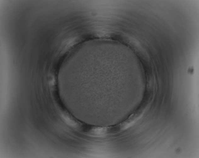 X0000101710084200807241505