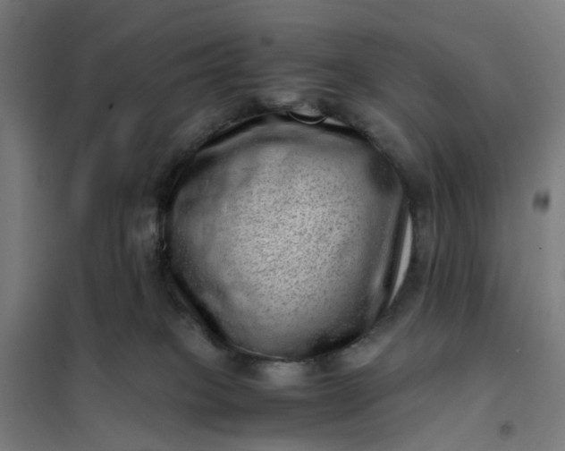 X0000101710085200807241505