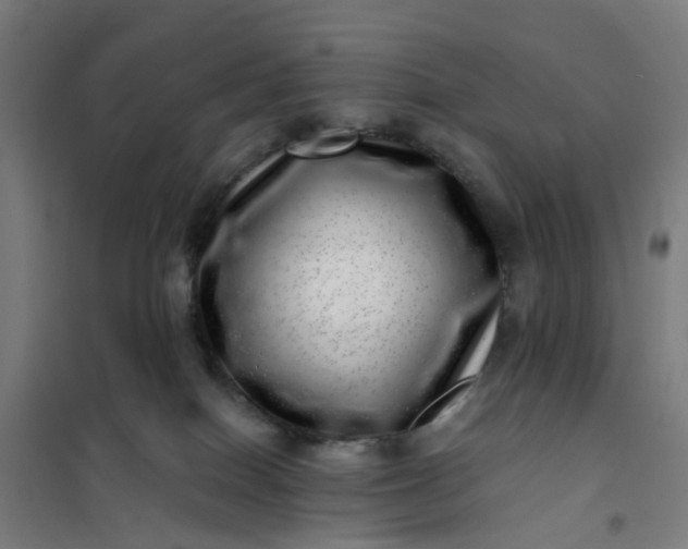 X0000101710086200807241505