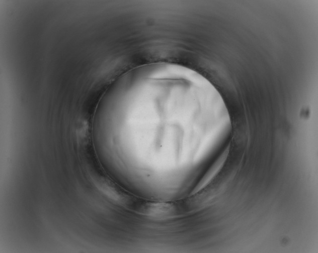 X0000101710087200807241505