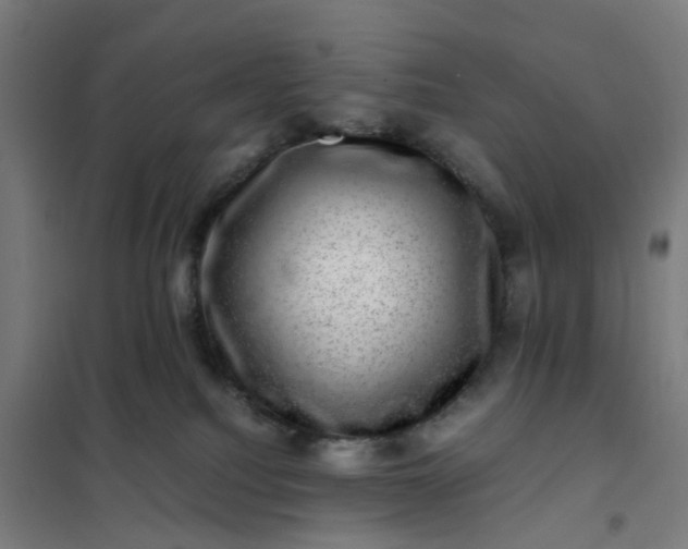 X0000101710088200807241505