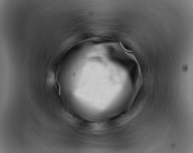 X0000101710089200807241505