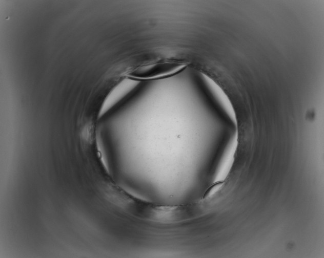 X0000101710090200807241505