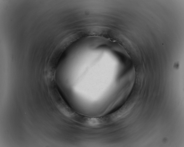 X0000101710091200807241505