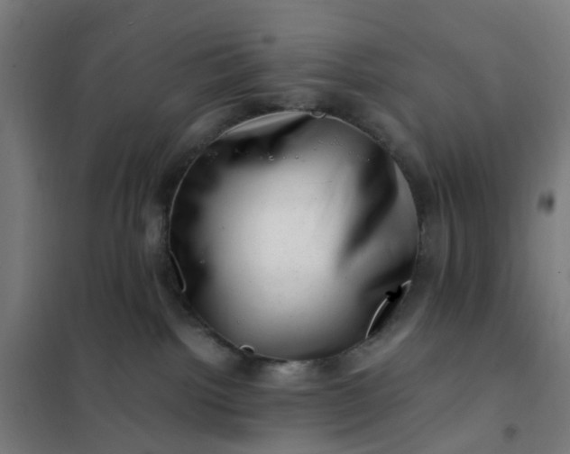 X0000101710092200807241505