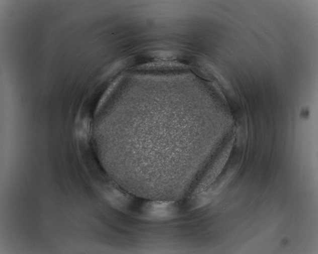 X0000101710093200807241505