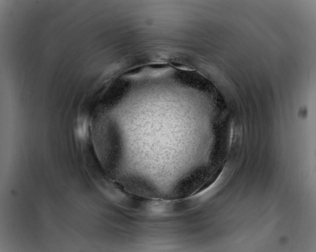 X0000101710094200807241505