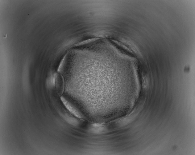 X0000101710095200807241505