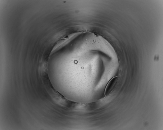 X0000101710096200807241505