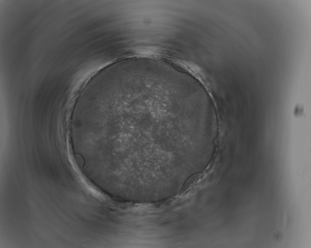 X0000101710097200807241504