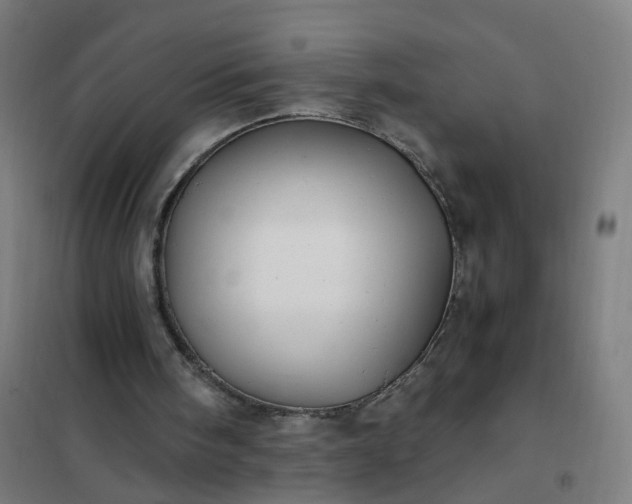 X0000101710098200807241504