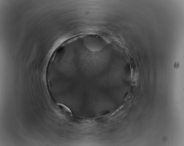 X0000101710099200807241504