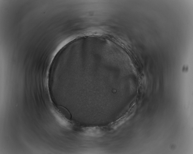 X0000101710100200807241504