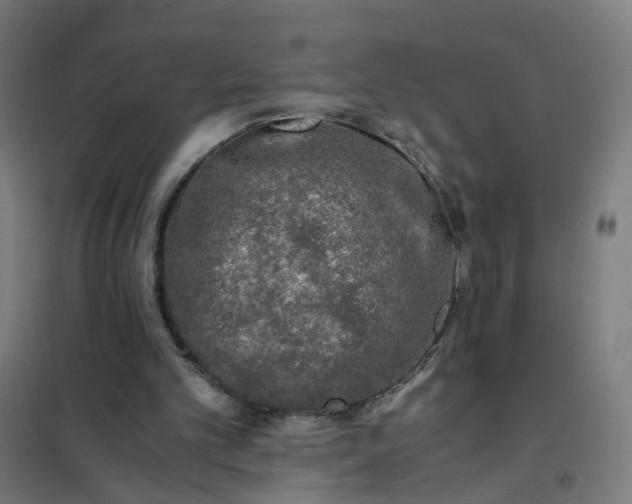 X0000101710101200807241504