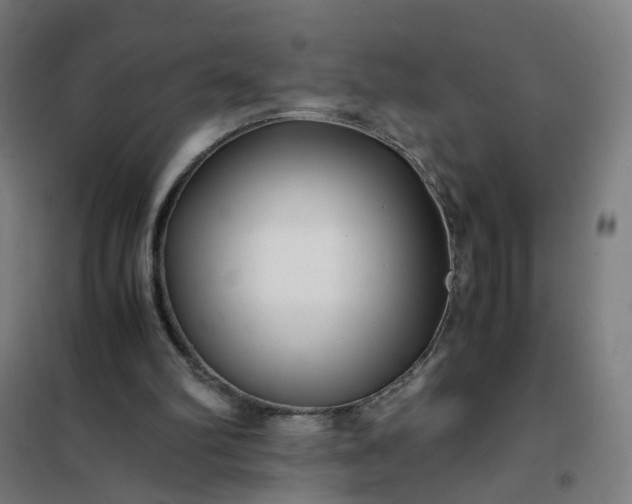 X0000101710102200807241504