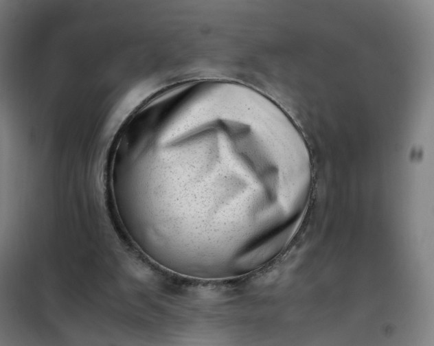 X0000101710103200807241504