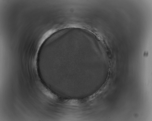 X0000101710104200807241504