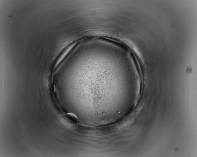 X0000101710105200807241504