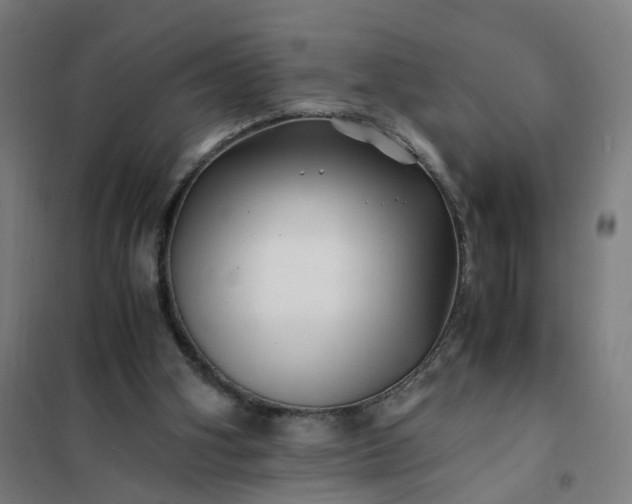 X0000101710106200807241504