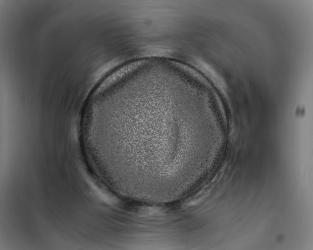 X0000101710107200807241504