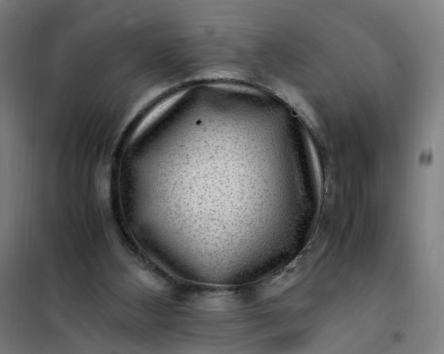 X0000101710108200807241504