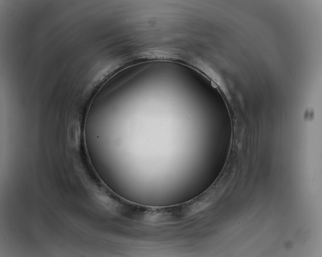 X0000101710109200807241504