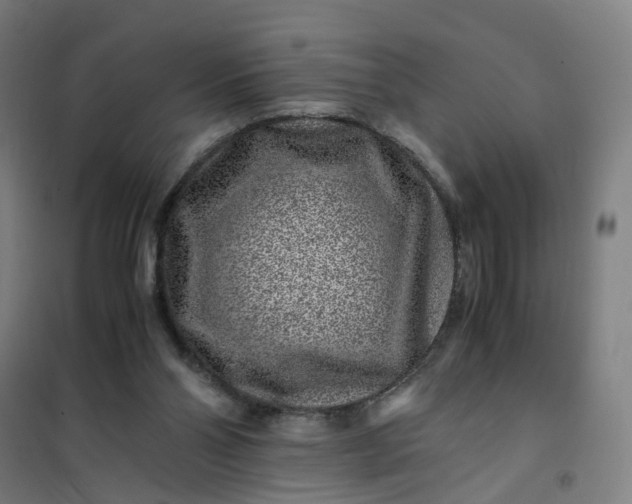 X0000101710110200807241504