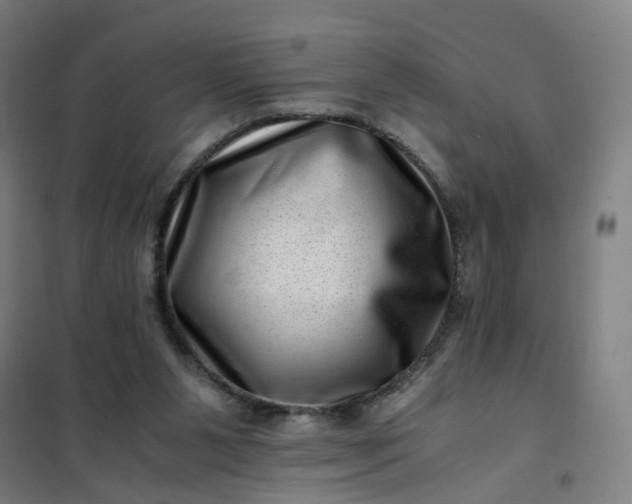 X0000101710111200807241504