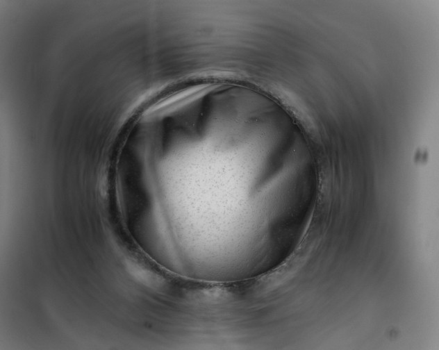 X0000101710112200807241504