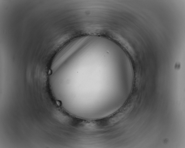 X0000101710113200807241504