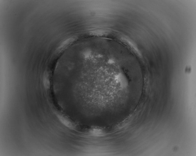 X0000101710114200807241504