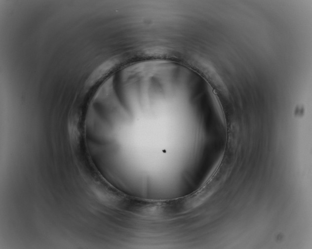 X0000101710116200807241504