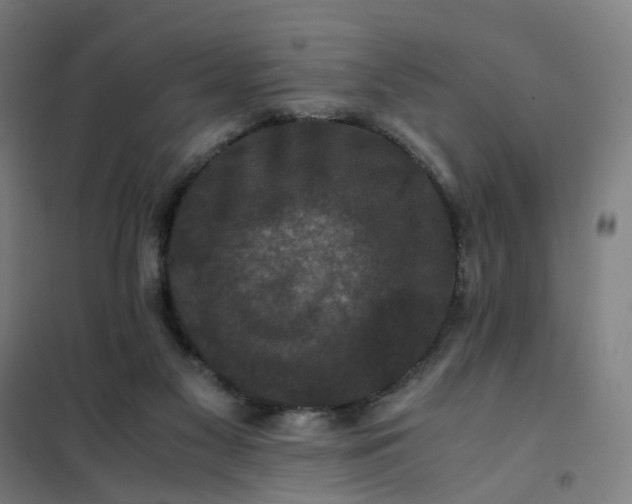 X0000101710117200807241504