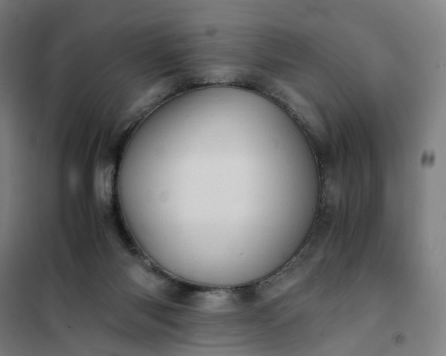 X0000101710118200807241504