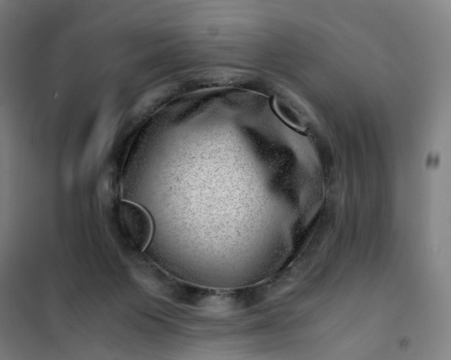 X0000101710119200807241504