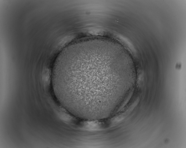 X0000101710121200807241504