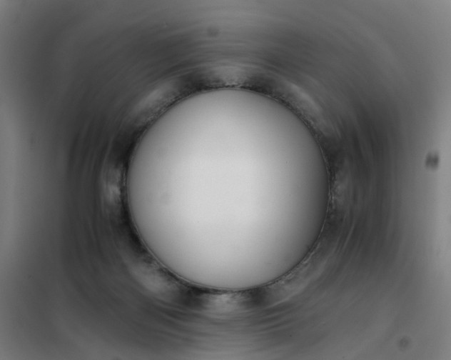 X0000101710122200807241504