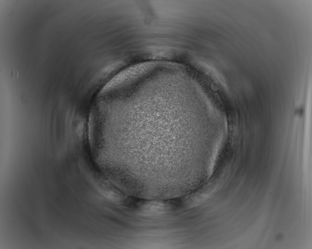 X0000101710123200807241504