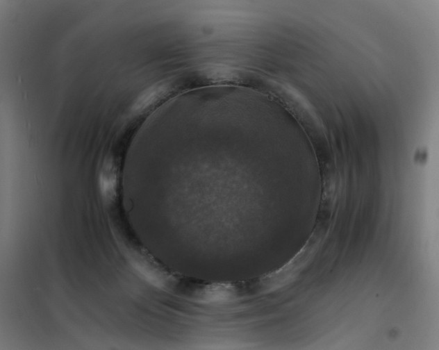 X0000101710124200807241504