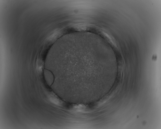 X0000101710125200807241504