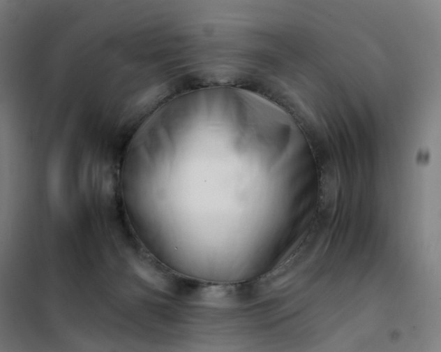 X0000101710126200807241504