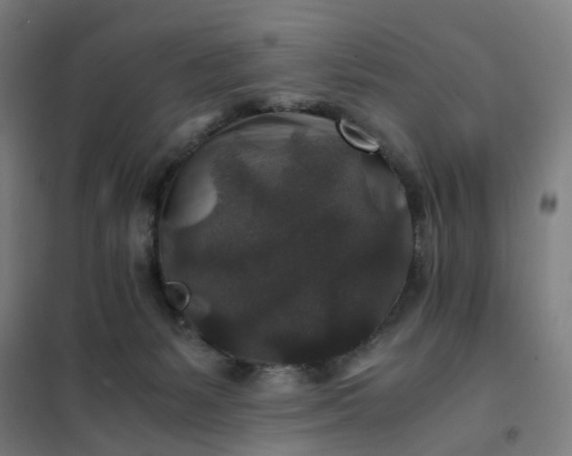 X0000101710127200807241504